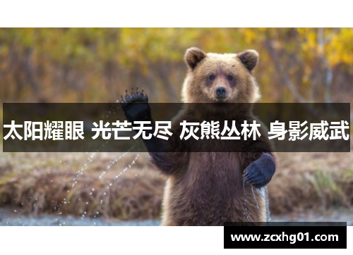 太阳耀眼 光芒无尽 灰熊丛林 身影威武